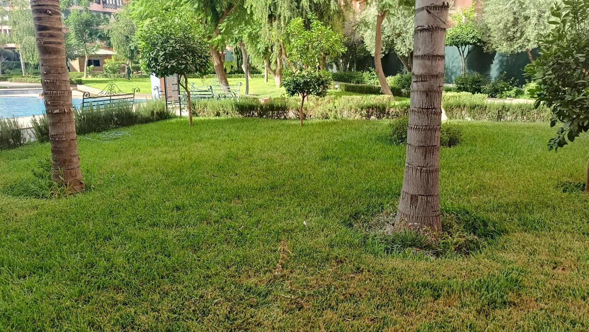 Premium Village M355 Appartamento